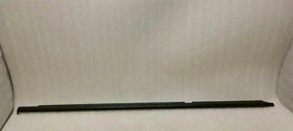 Mercedes-Benz S AMG W221 Rear door glass trim molding A2216903780