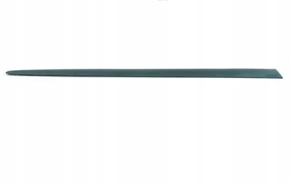 Ford Fiesta Rear door trim (molding) 1020381