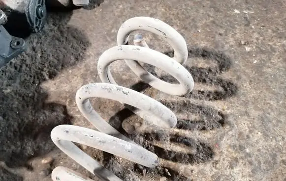 Rear coil spring