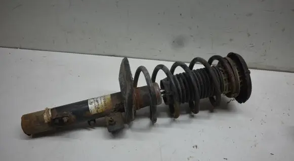 Citroen C3 Picasso Front shock absorber with coil spring 