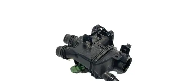 Thermostat/thermostat housing