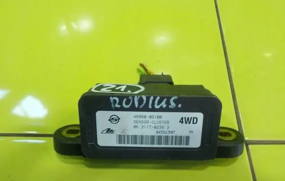 SsangYong Rodius Sensor 4896009100