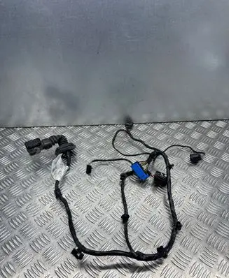 Maserati Ghibli Rear door wiring loom 06700086090