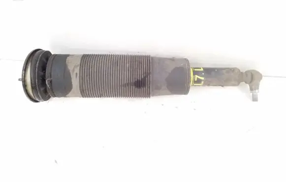 Mercedes-Benz CL C216 Front shock absorber/damper A2213207913