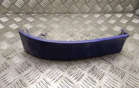 Rear/tail light trim molding