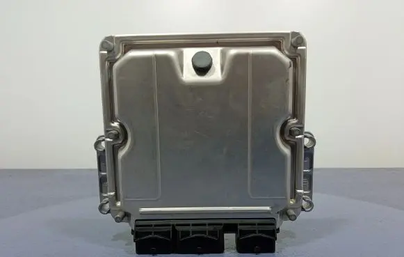 Engine control unit/module ECU