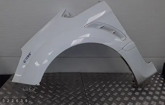 Ford S-MAX Fender 