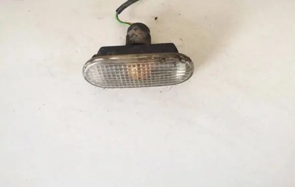 Front fender indicator light