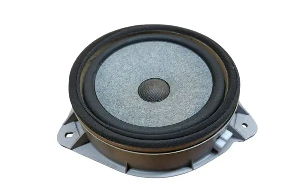 Toyota RAV 4 (XA20) Front door speaker 8616042070