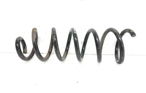 Rear coil spring