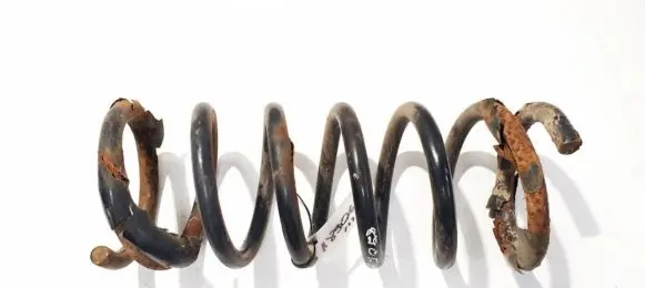 Ford S-MAX Rear coil spring
