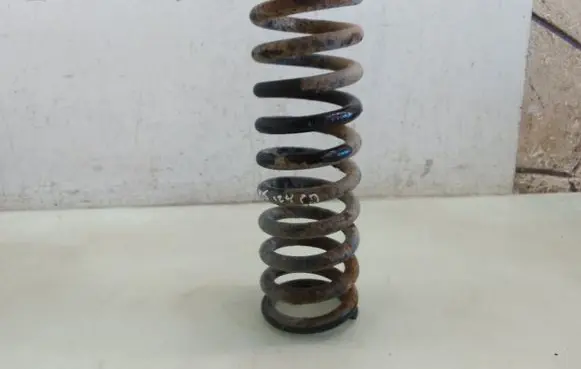 Rear coil spring