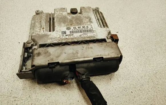 Volkswagen Caddy Engine control unit/module 03L907309AE 0281017946