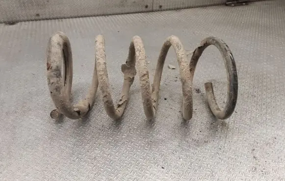 Rear coil spring
