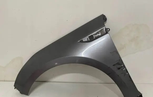 Renault Talisman Fender 631016903R