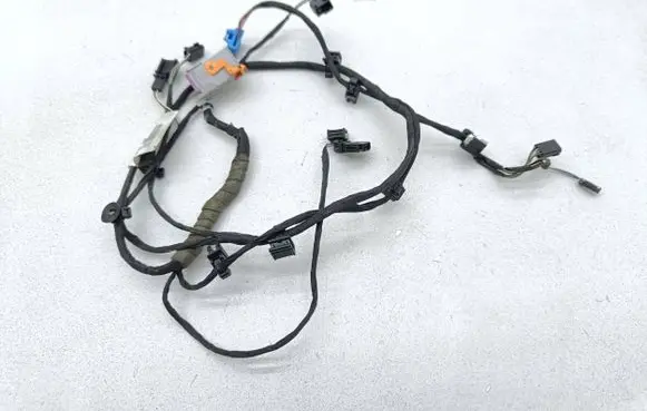 Front door wiring loom