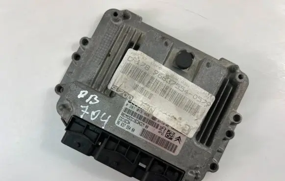Peugeot 206 Engine control unit/module ECU 9663755480 0281013868