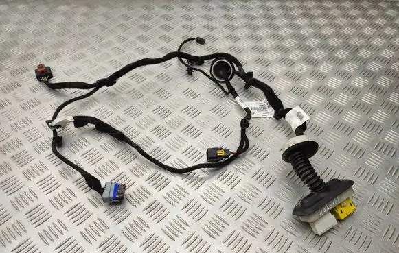 Peugeot Expert Front door wiring loom 9824872480