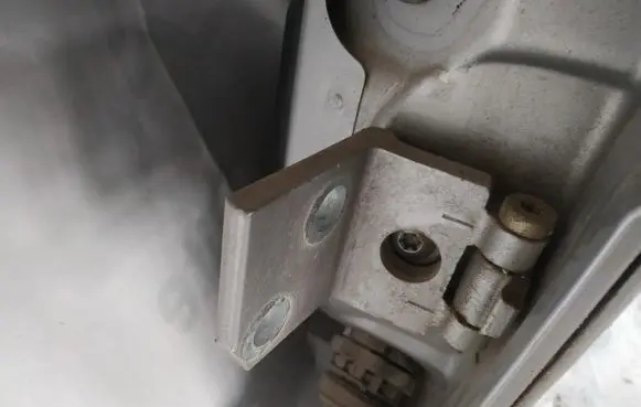 Rear door lower hinge