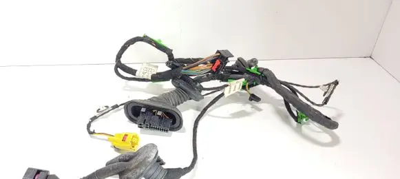 Front door wiring loom