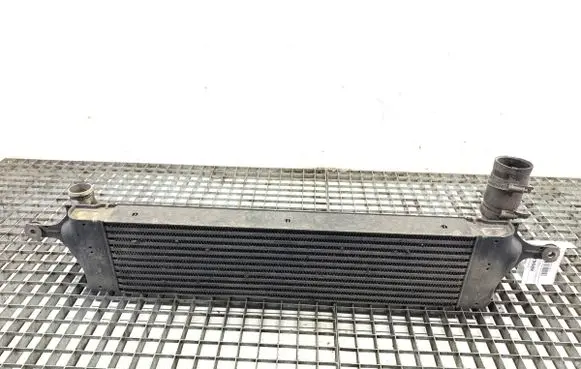 Renault Koleos I Intercooler radiator 