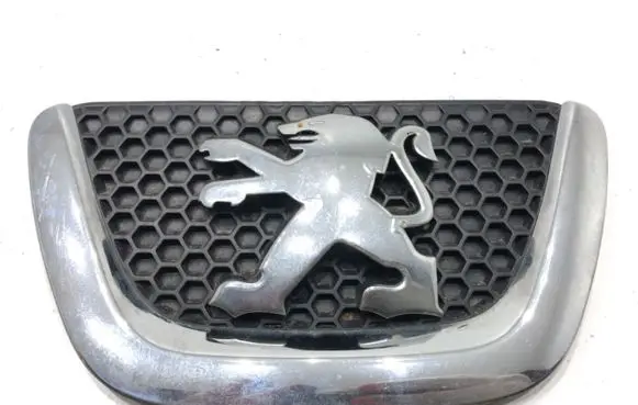 Front grill