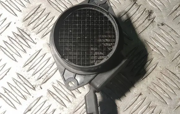 Peugeot 406 Mass air flow meter 5WK9621