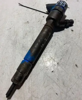 Volvo V70 Fuel injector 0445110251