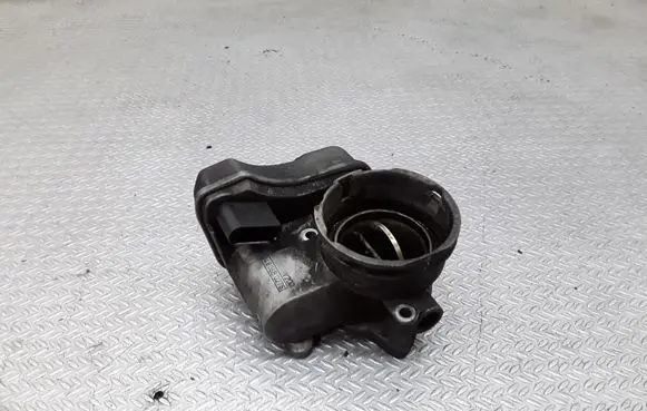 Volkswagen PASSAT B6 Throttle valve 03G128063B