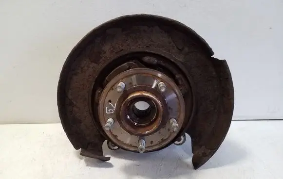 Chevrolet Captiva Rear wheel hub CK21000400L
