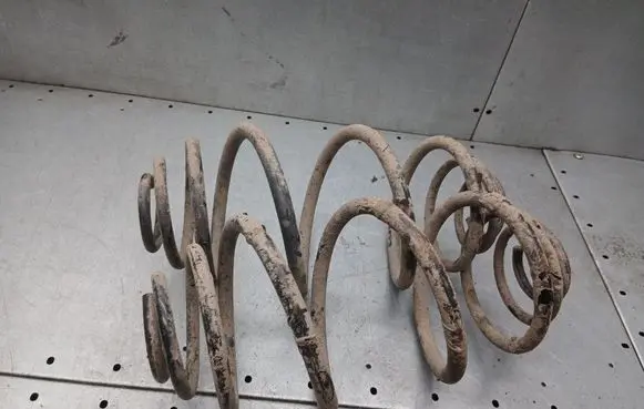 Rear coil spring