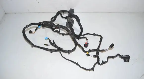 Front door wiring loom