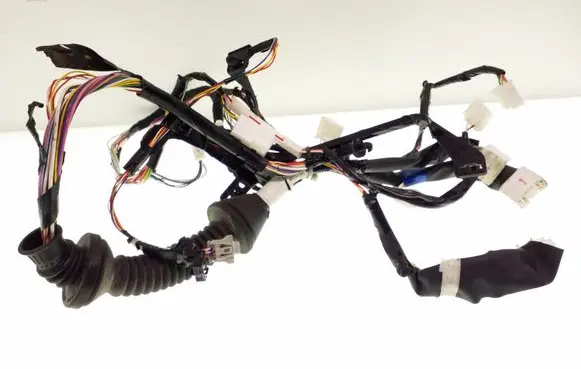 Front door wiring loom