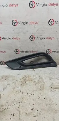 Front fog light trim/grill