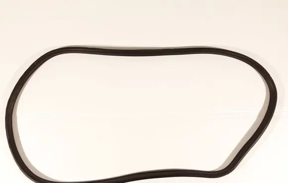 Mini Clubman F54 Front door rubber seal 7344159