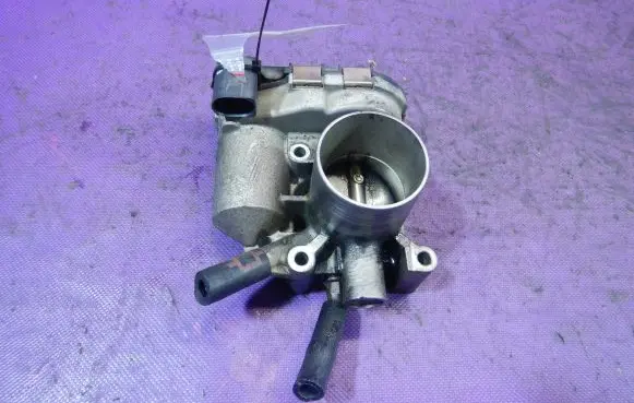 Throttle body valve