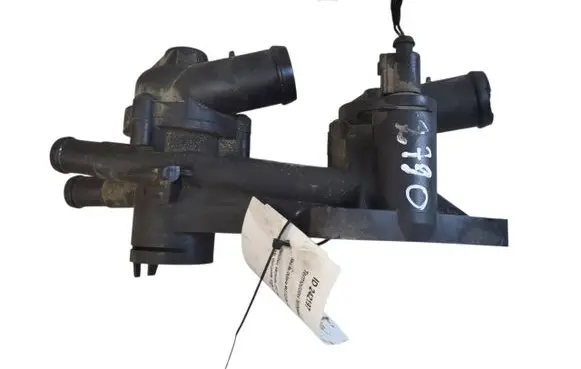 Thermostat/thermostat housing