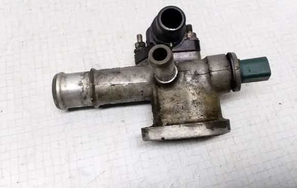 Thermostat/thermostat housing