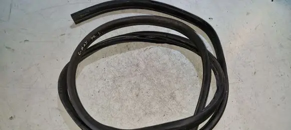 Ford C-MAX II Front door rubber seal 