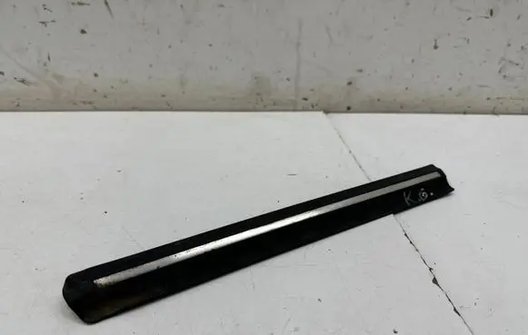 Rear door glass trim molding
