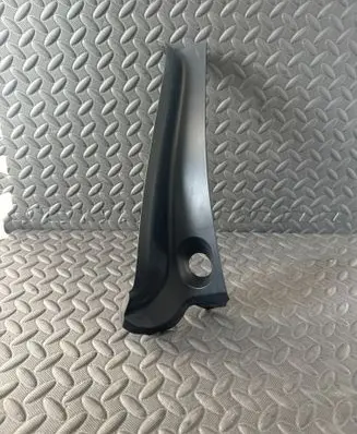 Rear/tail light trim molding