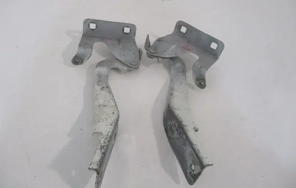 Renault Koleos I Engine bonnet/hood hinges 65401JY00A