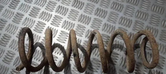 Peugeot 406 Rear coil spring