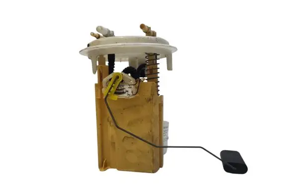 Citroen C6 In-tank fuel pump