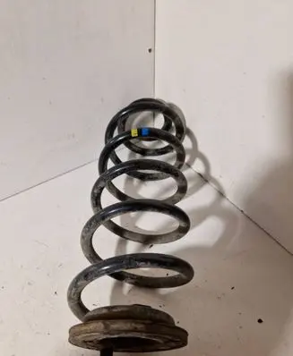 Rear coil spring