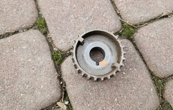 Opel Insignia A Timing chain sprocket 55564430-