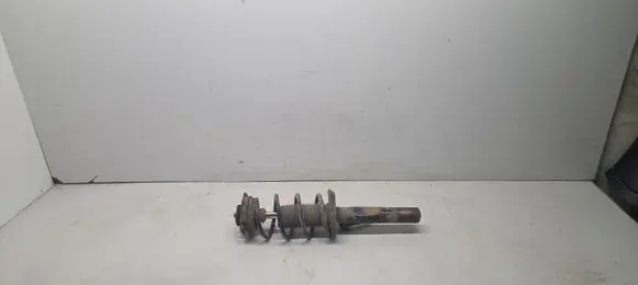 Volkswagen Golf V Front shock absorber/damper