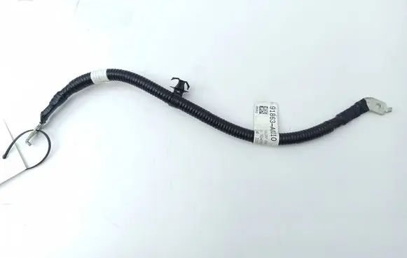 KIA Niro Negative earth cable (battery) 91863A0010