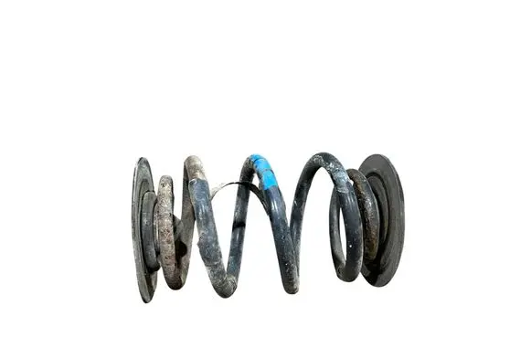 Rear coil spring