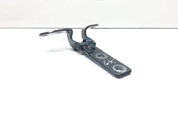 BMW X5 E70 Tailgate/trunk/boot hinge 7149627
